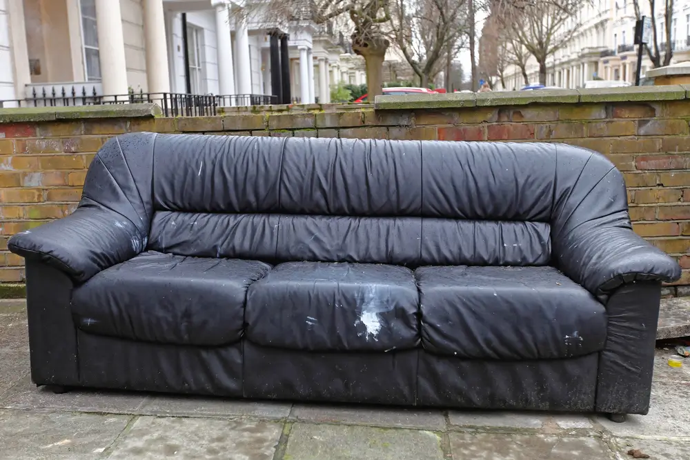 Junk Removal in Oakley, California (458)